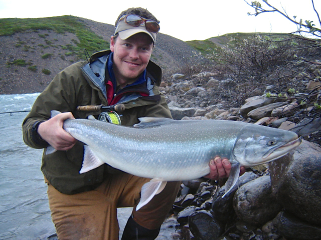 Silver Arctic Char