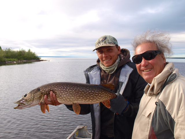 Northern Pike