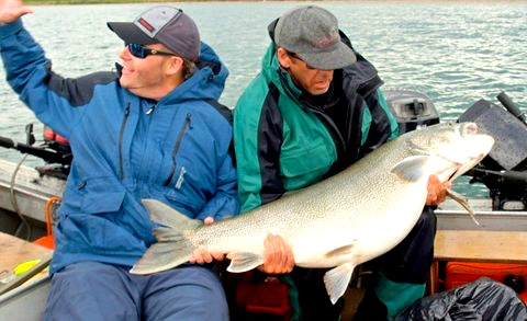 Paul's 70 pound Lake Trout