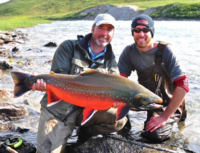 Arctic Char