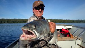 huge-lake-trout