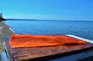 lake-trout-fillet