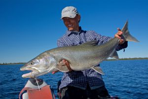 lake-trout