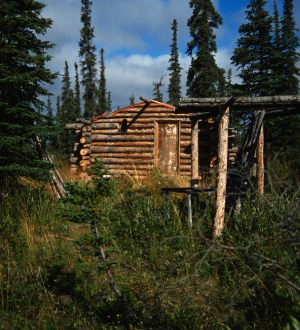 Cabin Contact Lake 1990