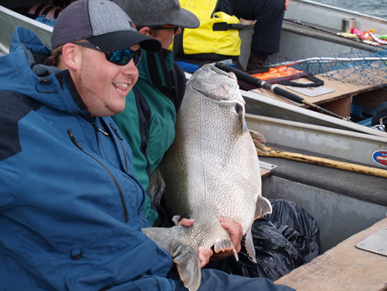 Lake Trout form Great Bear Lake