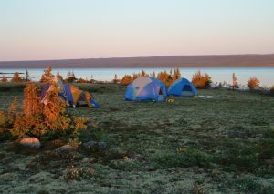 Ekka Island Campsite