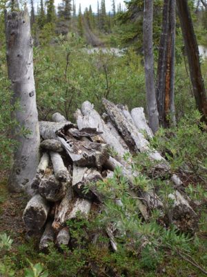 Gravesite - Katseyedie River