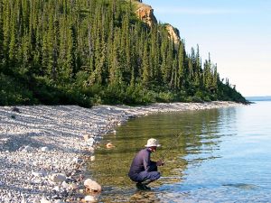 Good_Hope_Bay_Grayler