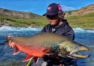 arctic-char-great-bear