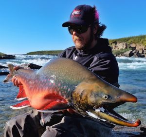 arctic-char