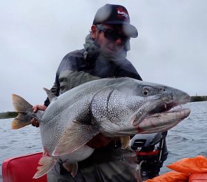 pendelis-kolkas-lake-trout