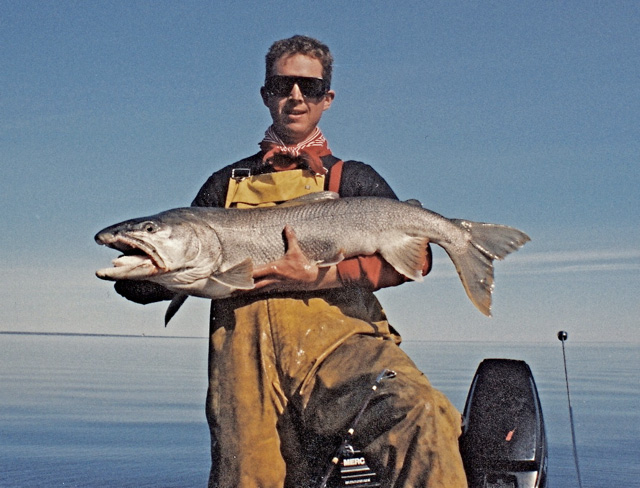 Great Bear Lake Trout