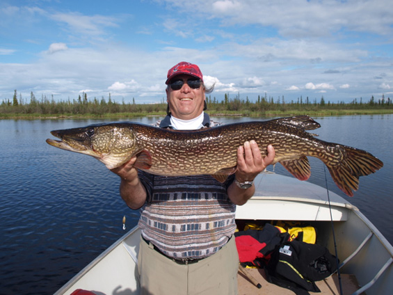 Best pike lures for Alberta