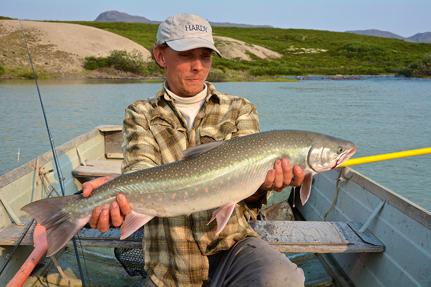 Arctic Char