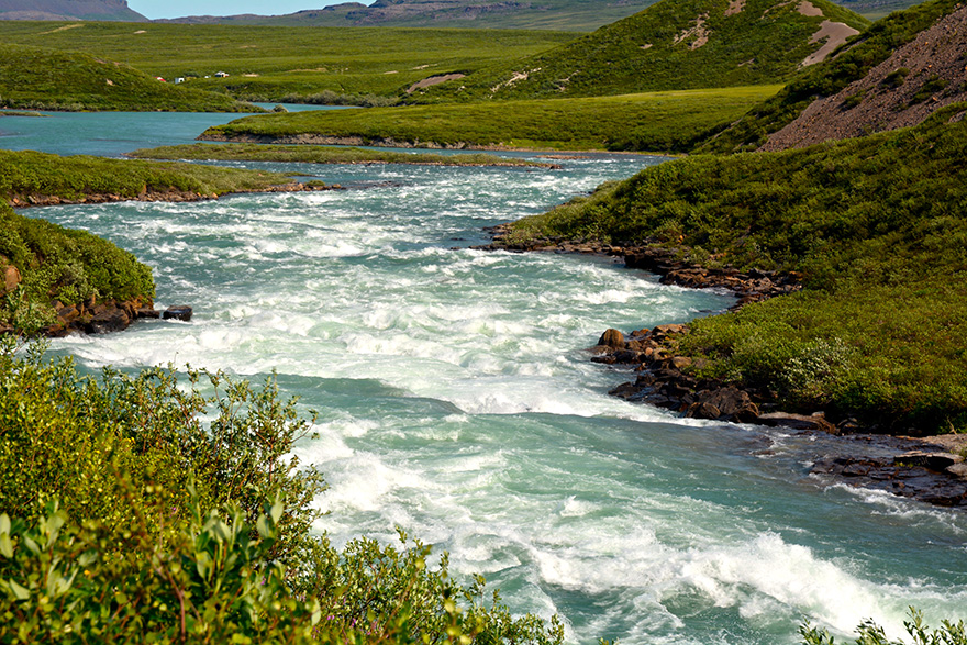 Tree River, Arctic July 2016