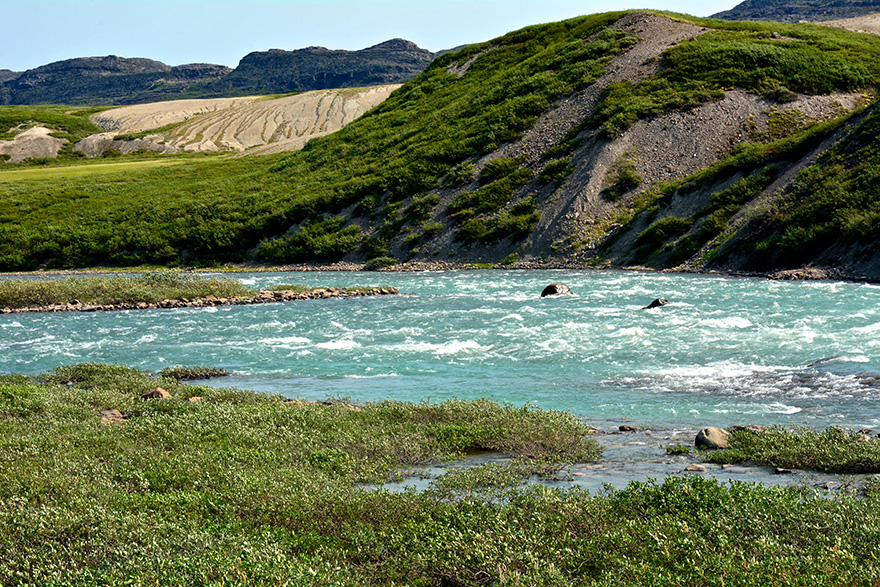 Tree River, Arctic July 2016