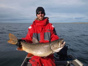 20 Pound Red Fin