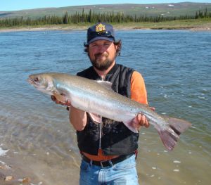 Arctic Char - Coppermine River