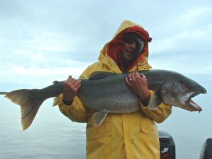 Ekka Island Monsters