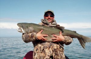 Ekka Island Trout