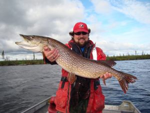 Whitefish River Pike