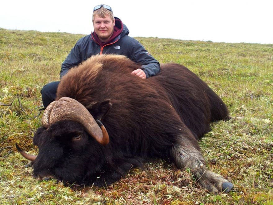 Mathew - Plummer's Lodge Muskox Hunt