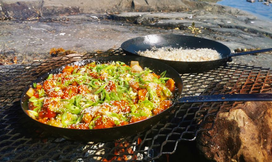 General Tso&#039;s Lake Trout