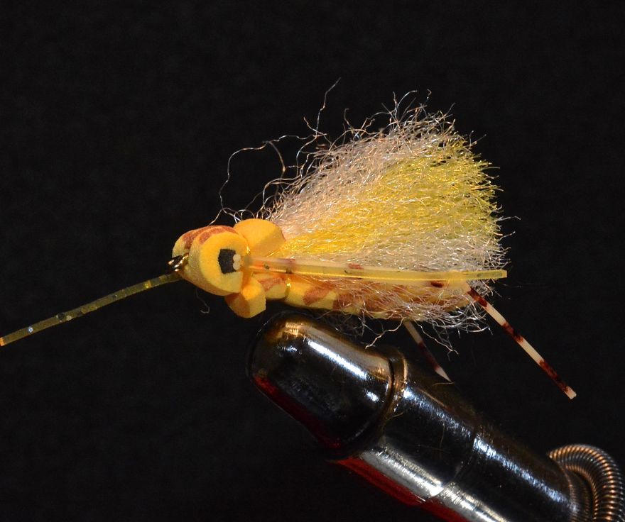 Foam Hopper or Adult Stone Fly