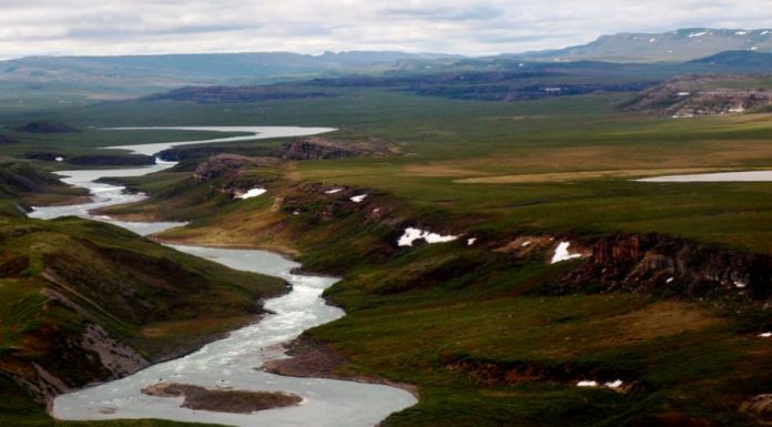 Fishing the Kogluktualuk