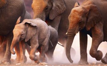 Affordable Tropical Island Getaways