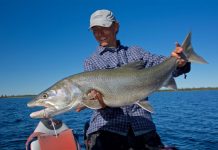 Fur, Feathers, Hackles and Trophies