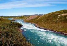 Tree River Fly Fishing Approaches and Tactics