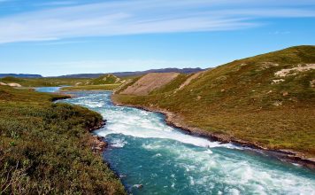 Tree River Fly Fishing Approaches and Tactics