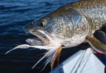 Great Bear Lake On the Fly