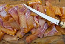 The Lake Trout Of Great Bear Lake – The Best Tasting Fish South Of The North Pole