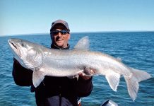 Guides & Guests Over the Years