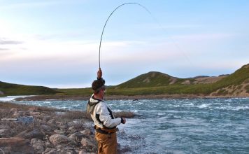 The Exploits Of A Fly Rod Known As The “Tree River”