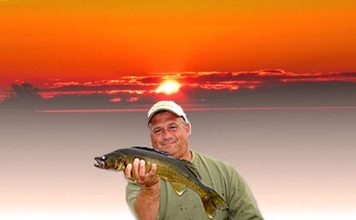 Tracking Down “Ol’ Marble Eyes” in the Land of the Midnight Sun