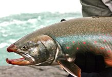 The “History of Char Fishing