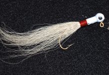 A Most Curious Catch