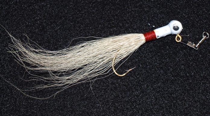 A Most Curious Catch